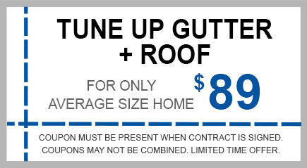 Tune Up Gutters + Roof